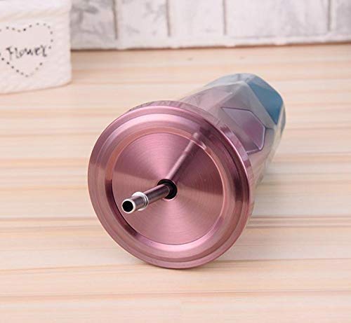 Travel Colorful Stainless Steel Tumbler with Straws Double Wall Vacuum Insulation Mug Easy Sip Tumbler with Spill Proof Sipper Cap (550ML)